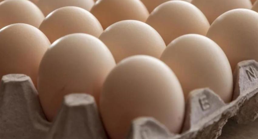 Minister of Agriculture explores opportunities to export eggs and chicken